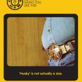Gold's Gym - Poster